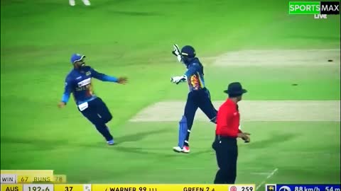 fans-video cricket lovers-video #cricket #cricketlover