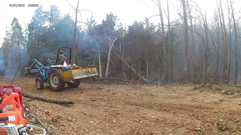 Pulling a tree out of the woods.