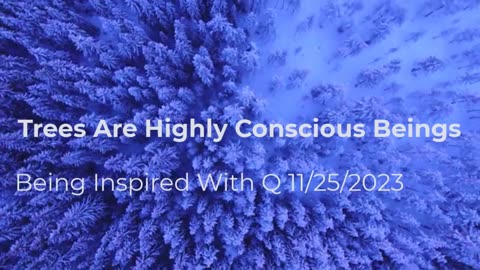 Trees Are Highly Conscious Beings 11/25/2023