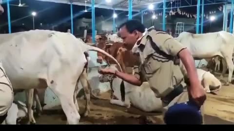 Holy purification process of Indian police