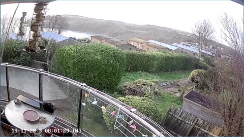 Saint Mary's cove Brixham and bird feeder