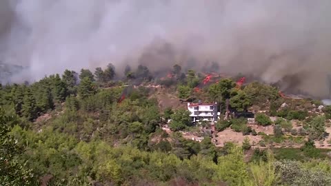 Smoke looms over Athens as firefighters battle wildfires | REUTERS