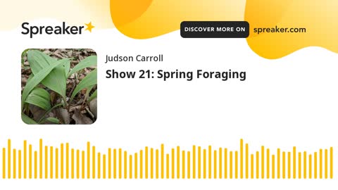 Show 21: Spring Foraging (part 1 of 3)