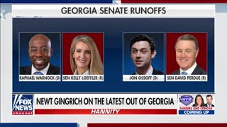 Gingrich: Georgia swing voters will turn against 'radical' Democrats