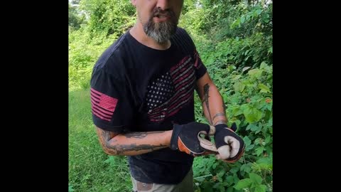 Blackberries and Black Raspberries - can you eat them both???