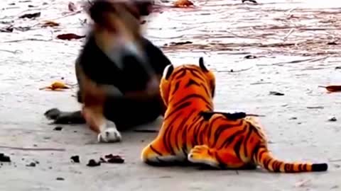 Prank dog & monkey by Fake Tiger video funny 2021