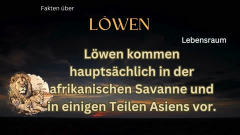 Löwen-Fakt 3 - Weißt du, wo Löwen leben?