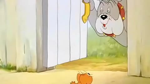 Tom and Jerry Funny Clips 🤣