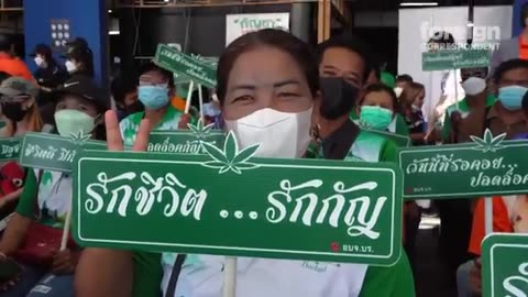 Is Thailand the New Weed Capital of the World?