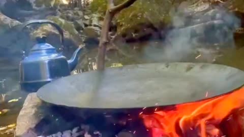 Excellent kebab cooked in the forest on a fire