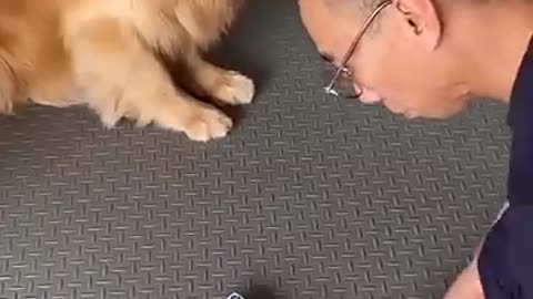 This Is The World's SMARTEST DOG 😱 | Wholesome Moments