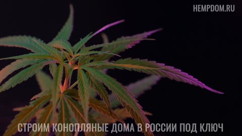 Костробетон производство, процесс изготовления и основные этапы производства