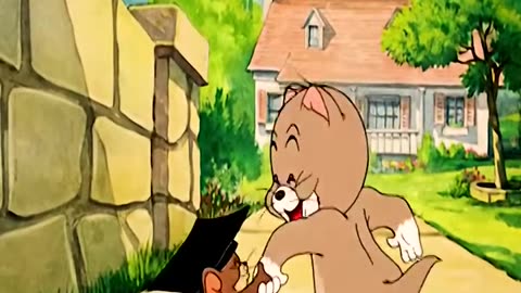 Funny videos Tom and Jerry