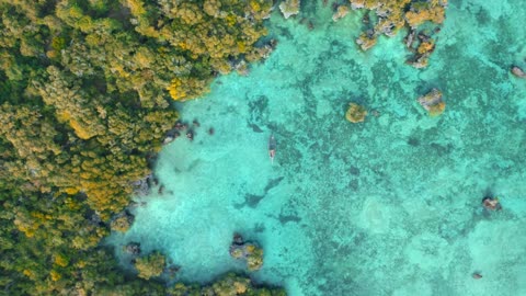 GREEN AND CRYSTALLINE WATERS VIDEO. PARADISE