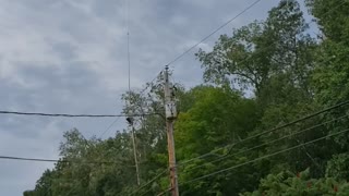 Helicopter tree trimming