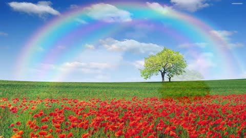 Beautiful Natural Rainbows (HD1080p