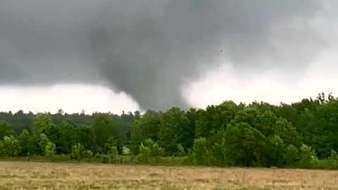 Tornado south of Shreveport near Elm Grove, LA From tropical storm Beyrl 7-8-2024