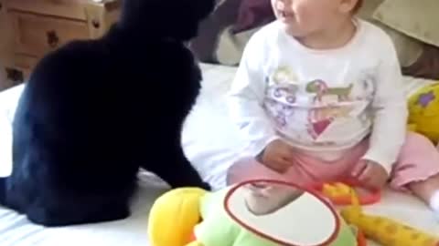 Cats Love Babies