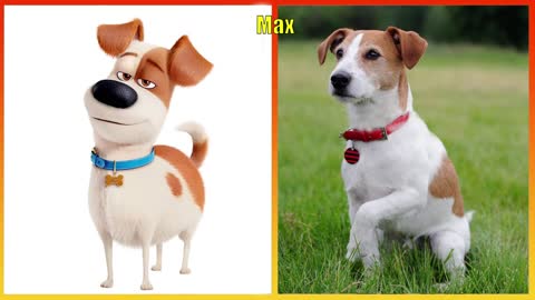 The Secret Life of Pets in Real Life