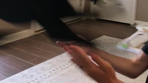 Black Lab Pounces on Owner