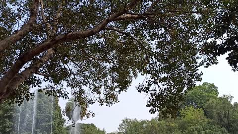 water fountain in Mugal Gardern New Delhi