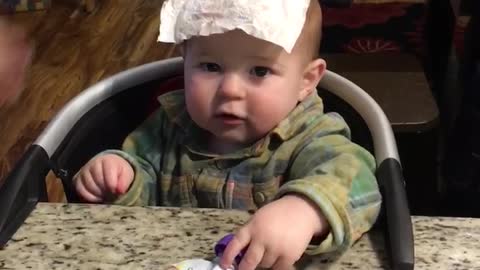 Baby Can't Find Paper Towel