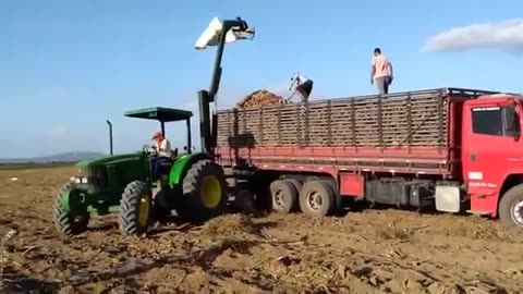 Asian Technology Farm for Agriculture Growing, Fertilizing, and Harvesting Cassava