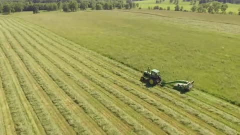 Tractor Cutting Grass In The Field