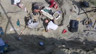 Dinosaur dig timelapse