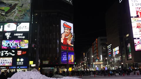 hokkaido susukino sation (sapporo snow fastival)