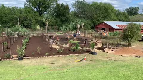 Gorgeous Example Food Forest!