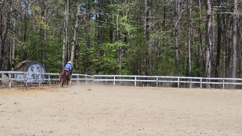 Part Time Cowboy and Cody go to competition