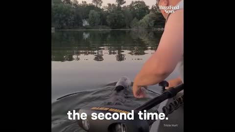 Bear is swimming with a plastic bottle over his head