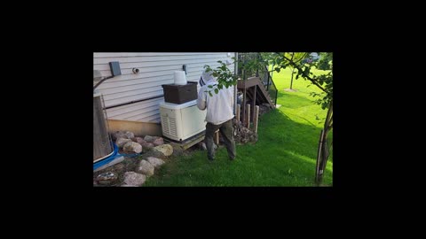 Honey Bee Swarm Trap and Update on 2 Catches