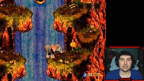 Donkey Kong Country 3 Dixie Kong Double Trouble