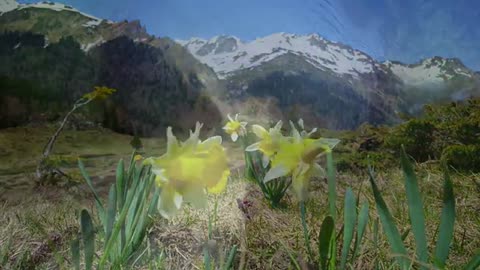 Praised and Glorified (Spring) by Peter Held and Corinne Bahia