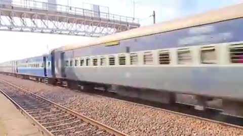 Dog hits bye Train 😱😱😱