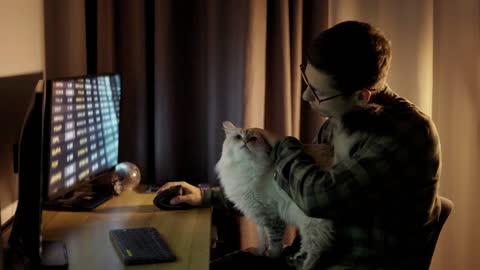 Young guy looking at screen traiding online from home office sit with cute white fluffy cat