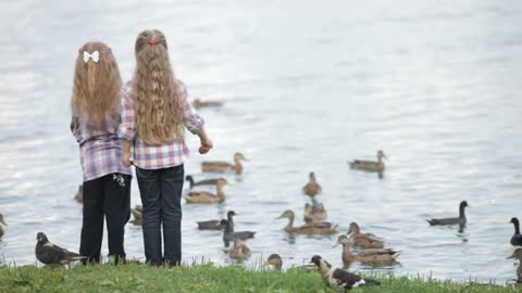 Two cute little girls at park feeding ducks