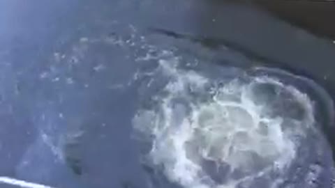 Guy in underwear jumping into water canal off of bridge balcony