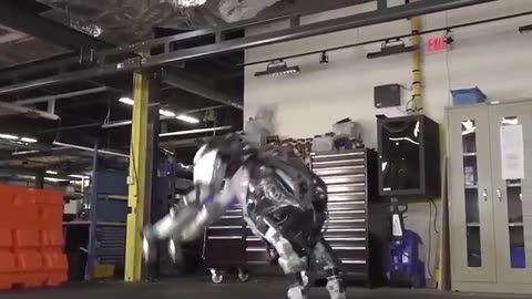 Boston Dynamics