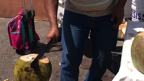 Fresh Coconut in Mexico