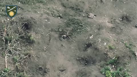 Russians Litter the Fields of Luhansk