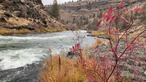 Central Oregon – Steelhead Falls – Walking the River Shoreline – 4K