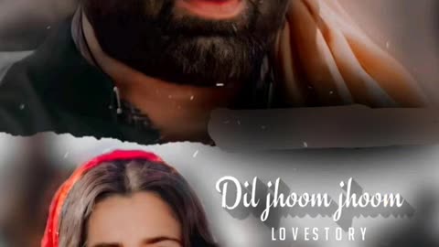 Dil Jhoom Gadar 2 Movie Song