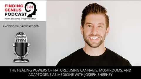 Using Cannabis, Mushrooms, And Adaptogens As Medicine With Joseph Sheehey