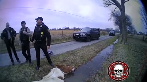 Muldrow police help rescue a horse stuck in the ditch.