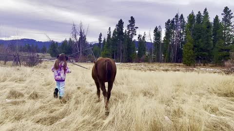 MEETING THE NEIGH-BOR HERD