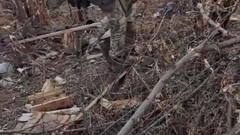 291st Motorized Rifle Regiment of the 42nd Motorized Rifle Division inspect Ukrainians trenches