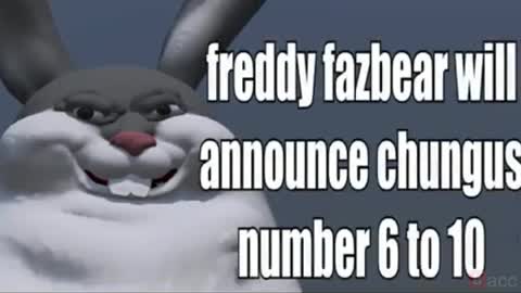 top 10 big chungus sightings